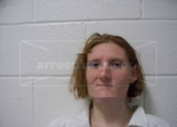 Susan L Foster