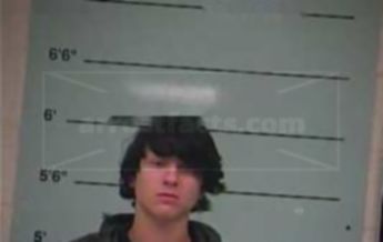 Austin Blevins