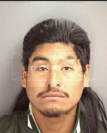 Jamie Cortez