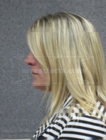 Traci J Luebke