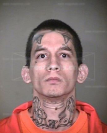 Adrian M Ybarra