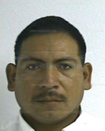 Jose O Ibarra
