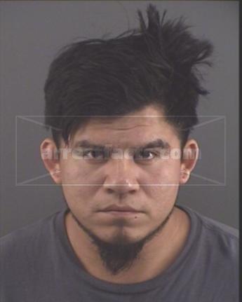 Julio Cesar Arias-Hernandez