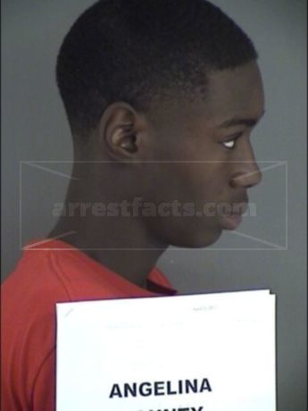 Xavier Dashaun Levine