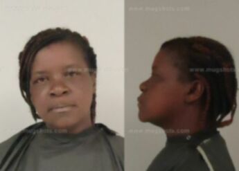 Elizabeth Ann Mobley
