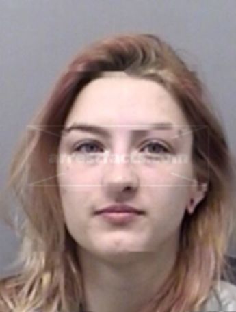 Danielle Page Addington