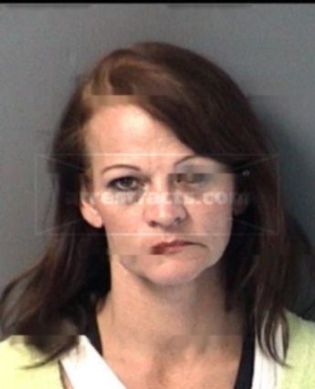 Michelle Lynn Mellema