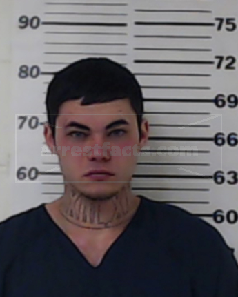 Rami William Carroll