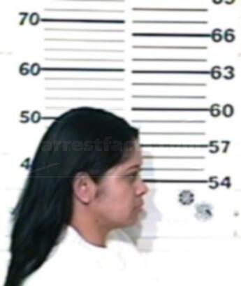Nora Elia Ortiz Morales