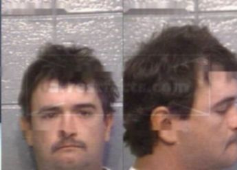 Shane Wilson English