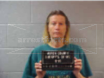 Terry Lynn Story