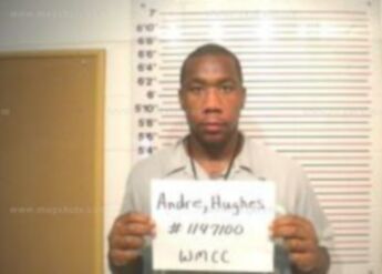 Andre T Hughes