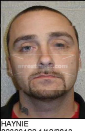 Jeffrey Allen Haynie Jr.