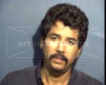 Gustavo Hoguin Flores