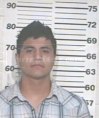 Mario Castaneda Martinez