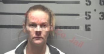 Traci Diane Sloan