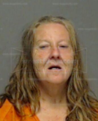 Vicki Sue Wilkins