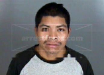 Alfredo Medina-Morales