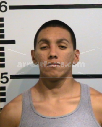 Michael Anthony Gebara
