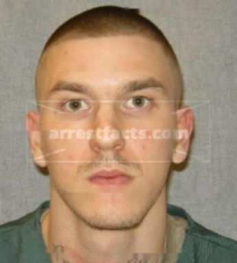 Michael S Sokolowski