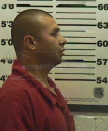 Martin J Flores