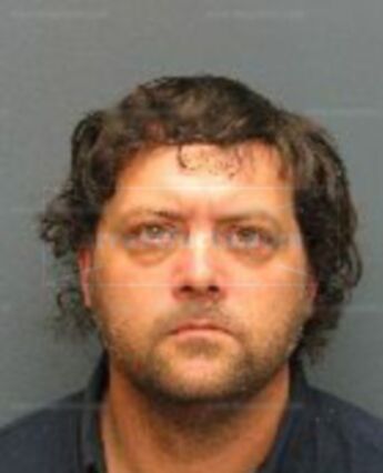 Michael Bradley Mcelveen