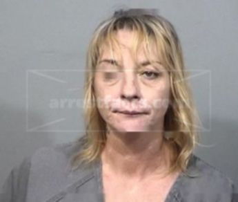 Teri Lynn Crook