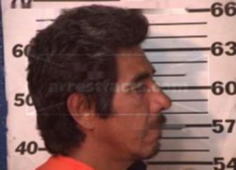 Pedro Villarreal Garza