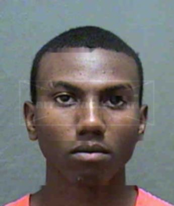 Shawn Shameik Gilliam