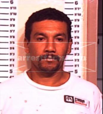 Meliton Faustini Salinas