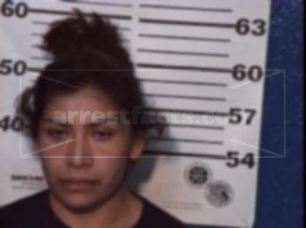 Julia Gallegos Martinez