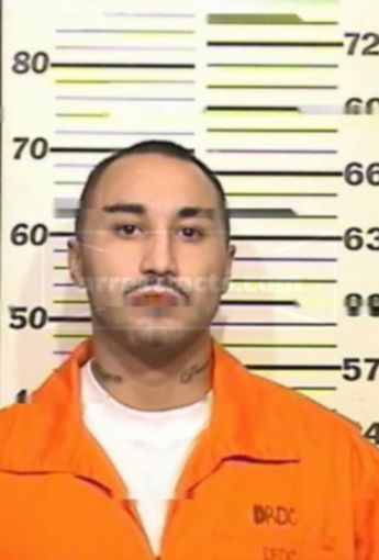 Steven G Gallegos