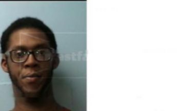 Darius J Williams