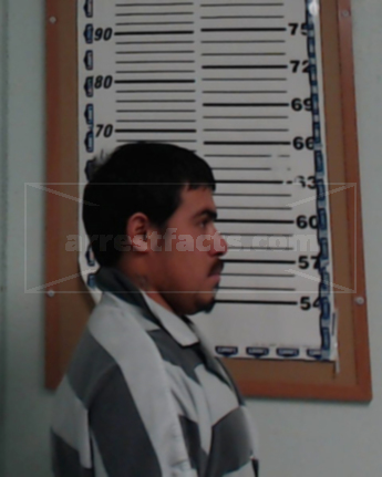 Rogelio Meza-Martinez