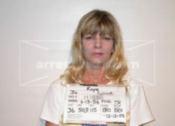Jo Lynne Roye