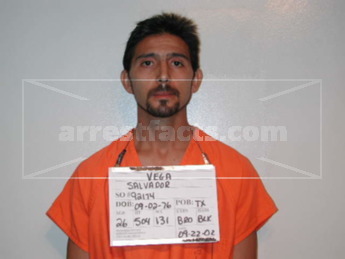 Salvador Salvy Vega