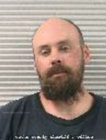 Timothy Joy