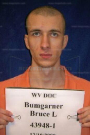 Bruce L Bumgarner Ii
