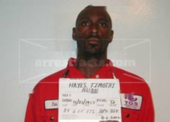 Timothy Allen Hayes