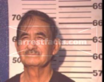 Amador Mena Villarreal