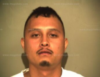 Roy Rodriguez Bernal