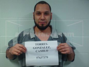 Camilo Torres-Gonzalez
