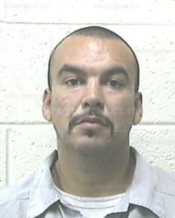Bruce G Molina