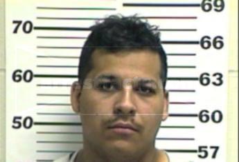 Sergio Meza Nava