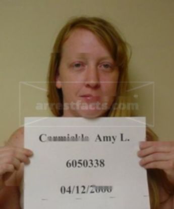 Amy L Carmickle
