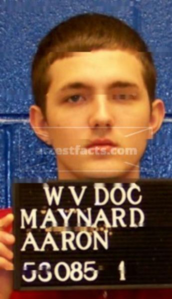 Aaron Maynard