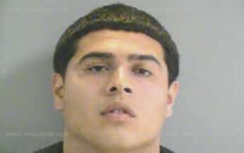 David Lee Alvin Palacios