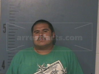 Joel Robert Flores