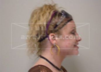 Jessica L Mischler