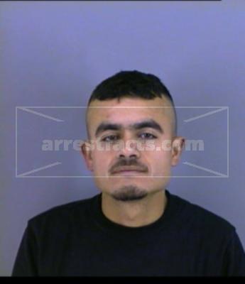 Serpia Bravo